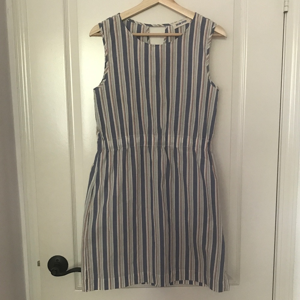 Taylor Stitch Dress